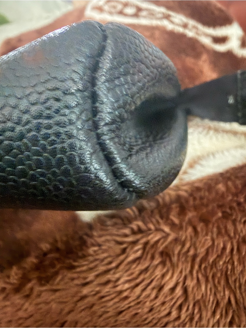 CHANEL Black Caviar Leather Quilted Zip Clutch Pouch 🌟🥰👛 - Picture 6 of 8